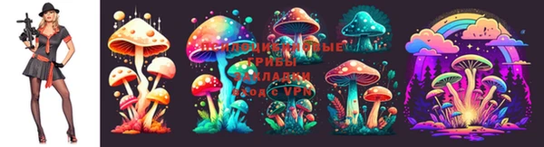 2c-b Абаза