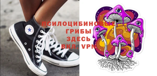 шишки Алексин