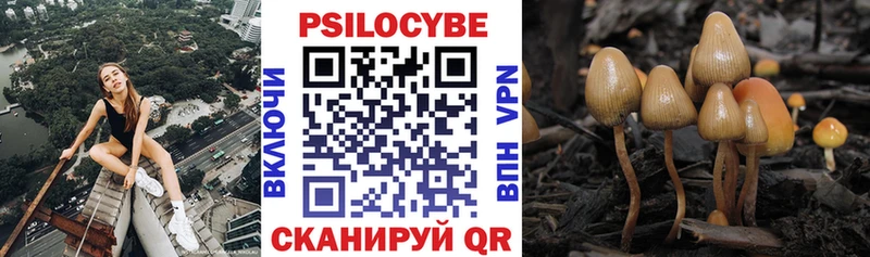хочу наркоту  Новокузнецк  Галлюциногенные грибы MAGIC MUSHROOMS 