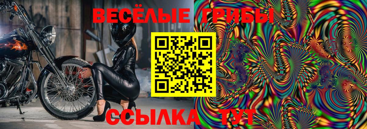 Новокузнецк  Псилоцибиновые грибы мицелий  Вход с VPN 